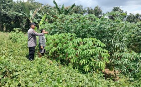 Perkuat Ketahanan Pangan, Bhabinkamtibmas Polres Madiun Bangun Kemitraan dengan Warga