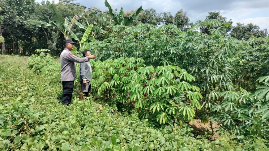 Perkuat Ketahanan Pangan, Bhabinkamtibmas Polres Madiun Bangun Kemitraan dengan Warga